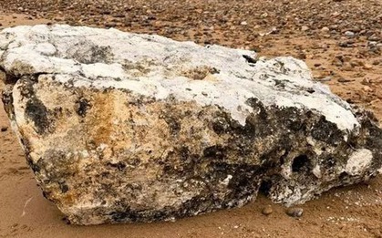 Phát hiện vật thể "bí ẩn" trên bãi biển, chó tử vong nếu ăn phải