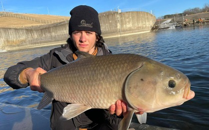 Sống hơn một thế kỷ, không lão hóa và nghịch lý sinh tồn của loài cá cổ đại Bắc Mỹ đang bị lãng quên