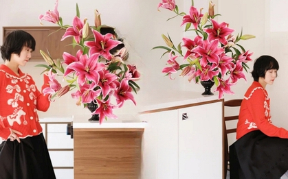 "Nàng hậu" của mùa Tết 2026 là Profundo: Giống bách hợp khổng lồ khiến căn nhà thơm như một khu vườn, vụng mấy cũng chăm được