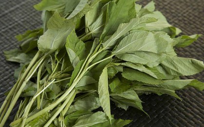 Việt Nam có loại rau nhiều sắt hơn thịt bò: Bổ tim, ngừa ung thư nhưng nhiều người chê không ăn