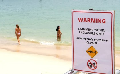 Cá mập tấn công người liên tiếp, Australia đóng cửa 40 bãi biển