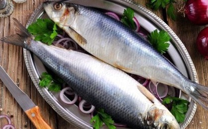 Quên cá hồi đi: Chợ Việt có 3 loại cá "vô địch" Omega-3, âm thầm nuôi não, giá chỉ từ vài chục nghìn