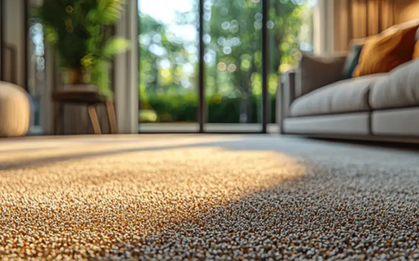 Phát cảnh báo cho tất cả các gia đình có thảm trong phòng khách