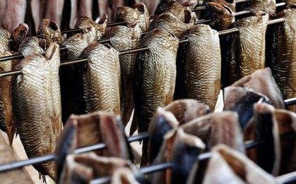 Một 'mỏ vàng' của Việt Nam hốt bạc từ Tây sang Đông: thu về hơn 2 tỷ USD, cả thế giới nuôi nhưng chỉ nước ta tạo ra ngành công nghiệp