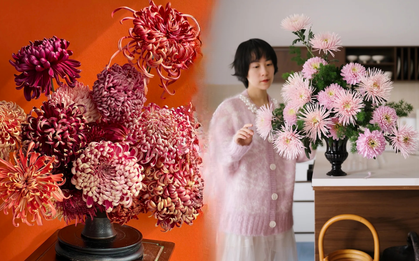 Đừng mải mê lan hồ điệp, cúc "khổng lồ" mới là chân ái: Bí kíp chăm cúc nở bừng, đẹp quên lối về Tết này