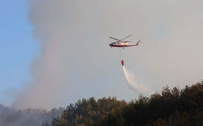 Cháy rừng nghiêm trọng ở Hàn Quốc