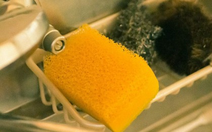 Bẩn hơn cả bồn cầu! Đây là 5 vị trí "lúc nhúc" vi khuẩn và mầm bệnh nhưng dễ bị bỏ qua khi dọn nhà