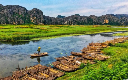 Kỳ tích: Khu đầm lầy lớn nhất miền Bắc rộng 3.000ha, từng xác lập 2 kỷ lục, tiến gần danh hiệu UNESCO