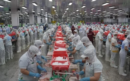 Đồng Tháp thưởng Tết cao nhất 300 triệu đồng/người