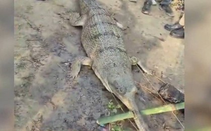 Thả lưới trên sông, ngư dân hoảng sợ khi bắt được thứ đáng sợ