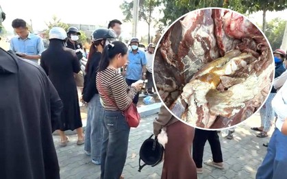 Thông tin MỚI NHẤT vụ 90kg thịt nghi chuyển màu tuồn vào trường tiểu học