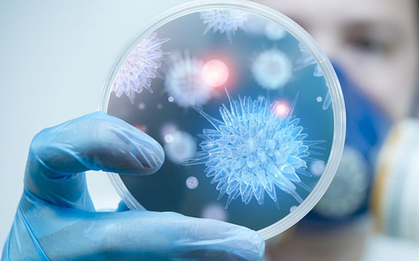 Bộ Y tế khuyến cáo người dân hạn chế đến khu vực có dịch bệnh do virus Nipah