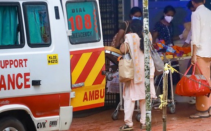 WHO, CDC nói về virus Nipah: Ai có nguy cơ, nguy hiểm đến đâu?