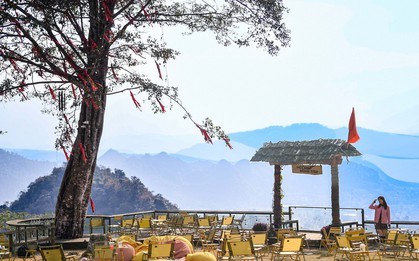 Cảnh tượng 'độc nhất vô nhị' ở điểm check-in cao nhất Mộc Châu