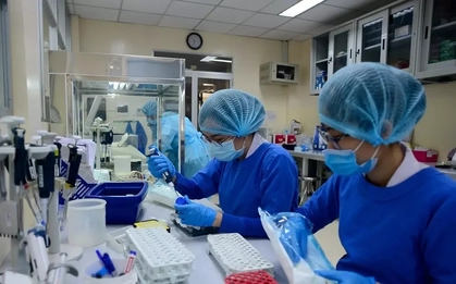 TPHCM lấy mẫu tầm soát virus Nipah trên bệnh nhân viêm não