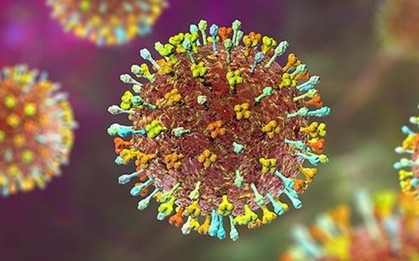 Bác sĩ chỉ dấu hiệu nhận biết và cách phòng tránh virus Nipah