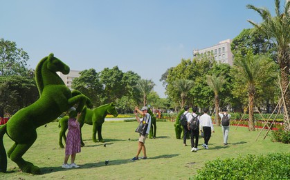 'Đất vàng' bỏ hoang giữa trung tâm TPHCM thành công viên đông vui dịp Tết