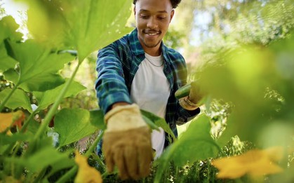 4 loại cây cần được gieo trồng ngay bây giờ