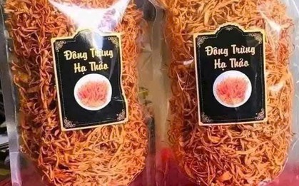 Đông trùng hạ thảo 350.000 đồng/kg: Giá rẻ bất thường, chất lượng khó kiểm soát