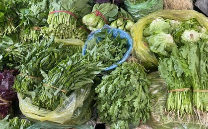 Loại rau tốt nhất thế giới, được chấm 100/100 điểm, chợ Việt bán từ 25.000 đồng/kg