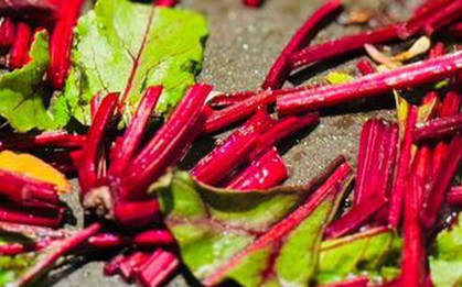 Loại rau được ca ngợi “tốt nhất thế giới” ở Việt Nam lại rẻ bèo, ra chợ là thấy