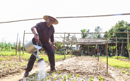Khách Tây hào hứng làm nông dân gánh nước, trồng rau