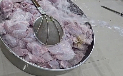 Vụ nghi đưa thịt hết hạn vào trường học: Sago Food bị kiểm tra, lộ 371kg thịt không rõ nguồn gốc