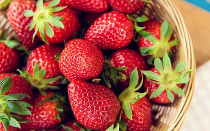 Tại sao dâu tây bán ở siêu thị có thể giữ tươi lâu, trong khi dâu tây bạn tự hái lại bị mốc chỉ sau 2 ngày?