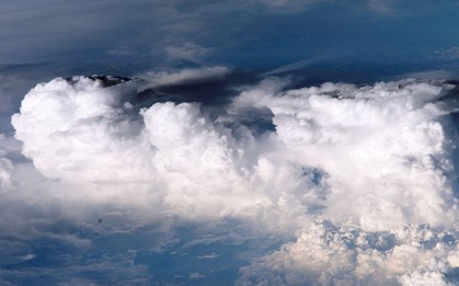 "Không ai biết vì sao điều này lại xảy ra": Các nhà khoa học toàn cầu chạy đua để giải mã 1 hiện tượng lạ