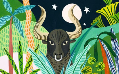 3 con giáp có SỐ HƯỞNG, "quý nhân là thầy hiền", cứ đi học là có người dẫn dắt đến kho báu