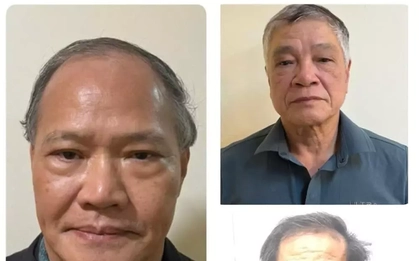 Vụ cựu thứ trưởng nhận hối lộ 200.000 USD: Thu giữ 175 miếng vàng, 204 sổ đỏ và hàng chục tỷ đồng của các bị can