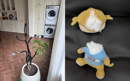 Buông bỏ là thượng sách: Tôi da diết khuyên bạn thẳng tay vứt 8 món "rác nhà" này