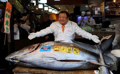 Con cá ngừ vây xanh giá 84 tỷ đồng