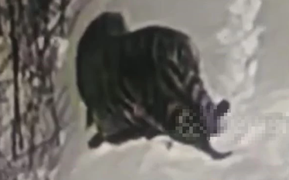 Nhìn ra ngoài cửa sổ, người dân chứng kiến cảnh tượng “nổi da gà”