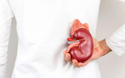 Chỉ còn một quả thận có phải đối mặt với nguy cơ suy thận sớm?