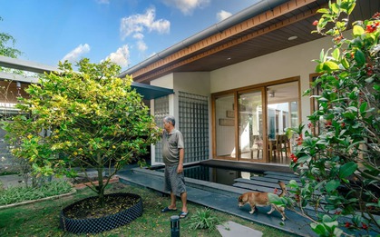 Ông bà nói: "Nhà mát nhờ cây, lộc bền nhờ đất" - 5 dấu hiệu nhận biết đất vàng phong thủy, ở lâu ắt giàu