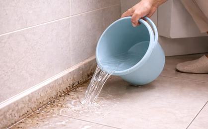 Mẹ tôi truyền bí quyết: Dội nước vào góc nhà này mỗi tuần - muỗi, kiến giảm hẳn mà không cần thuốc