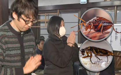 Công ty diệt côn trùng Nhật Bản làm lễ cầu siêu cho những con bọ bị tiêu diệt