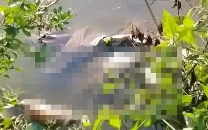 Khởi tố bị can sát hại bé gái 13 tuổi ở Cà Mau