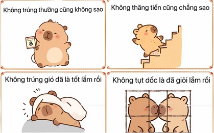 “Không PHÁT TÀI cũng không sao, không PHÁT ĐIÊN là may rồi”