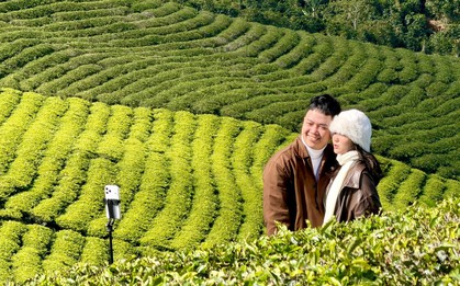 Giới trẻ nườm nượp check-in đồi chè Cầu Đất