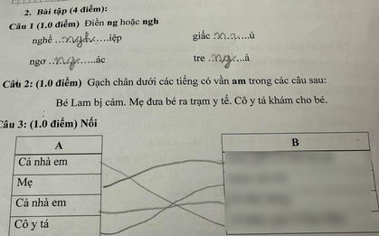 Xem bài tập tiếng Việt của con, bà mẹ Đà Nẵng bật cười: Nuôi hết cơm gạo, con tả mẹ như thế này đây!