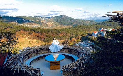 1 thành phố đang được tìm kiếm nhiều nhất mùa Tết năm nay: Sắp có lễ hội mai anh đào kéo dài tới 10 ngày