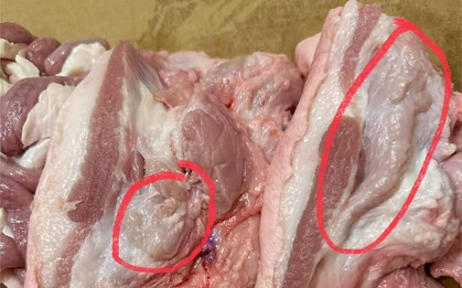 5 dấu hiệu nhận biết thịt lợn bệnh, người bán nói mấy cũng dứt khoát quay xe