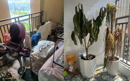 Người giàu không bao giờ đặt 5 thứ này ở ban công, người nghèo lại vô tư chất đống