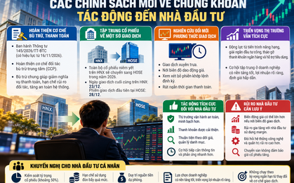 Nới biên độ chứng khoán: Nhà đầu tư đối mặt rủi ro gì?