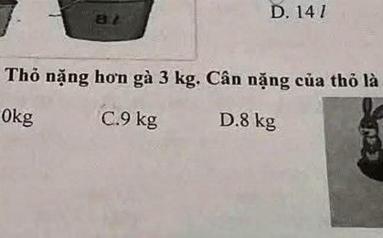 Bài Toán tính gà thỏ khiến ông bố nửa đêm mất ngủ: 200 người vào cuộc vẫn thấy đáp án quá mông lung