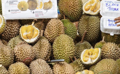 Sầu riêng được một ông lớn châu Á 'cấp visa', Việt Nam liên tiếp đón tin vui