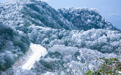 Phát hiện đỉnh núi cao 1.931 m ở Việt Nam, từng lạnh -9°C, mùa đông phủ băng trắng đẹp như châu Âu