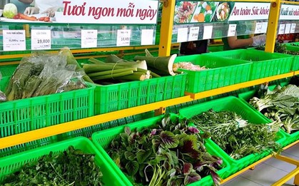 Một “đại gia” tuyển người cùng bán rau, thu nhập có thể lên đến 30 triệu đồng